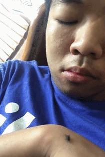 搞笑动图笑得肚子痛,搞笑动图gif图片合集