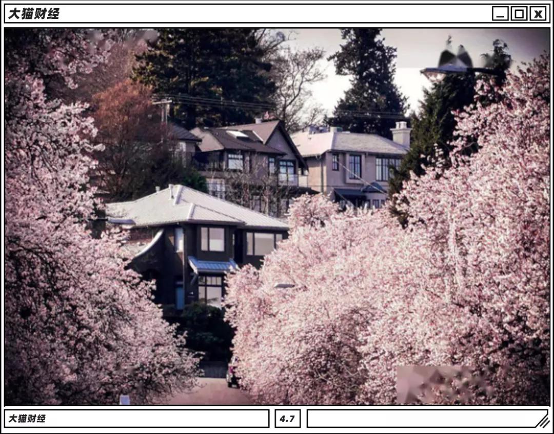 纵横温哥华富二代,纵横挣钱