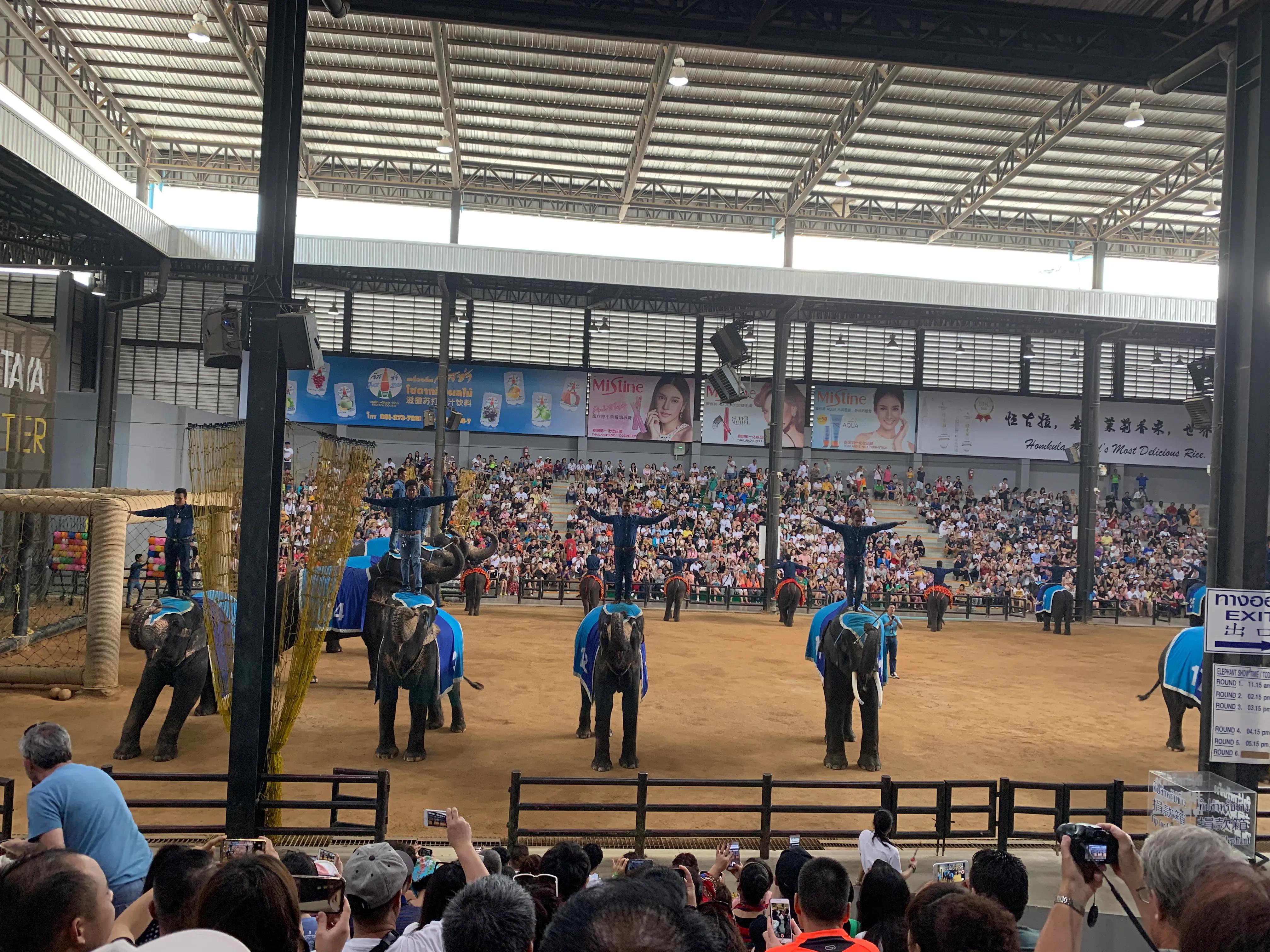 泰国芭提雅美沙岛游记,2019年泰国旅游数据