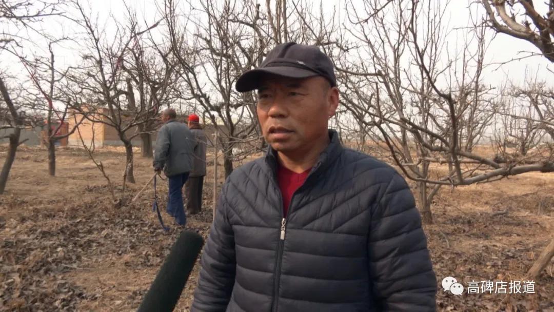 新春走基层年味儿,新春走基层打工人