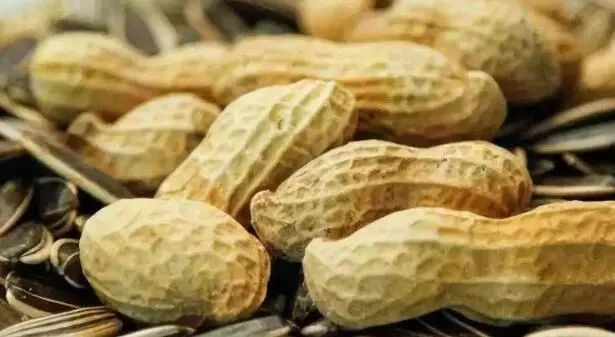 蔬菜发芽还能吃吗,蔬菜发芽了还能买吗