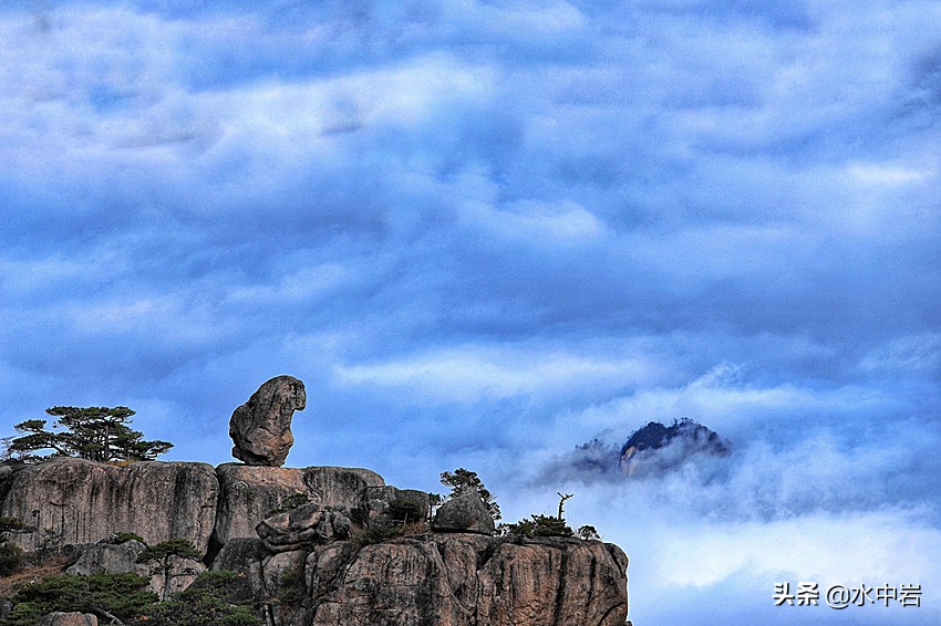黄山的十大奇松介绍,黄山七十二峰