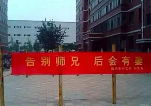 高校走心毕业季标语惹哭网友,毕业季校园里这些横幅看哭了