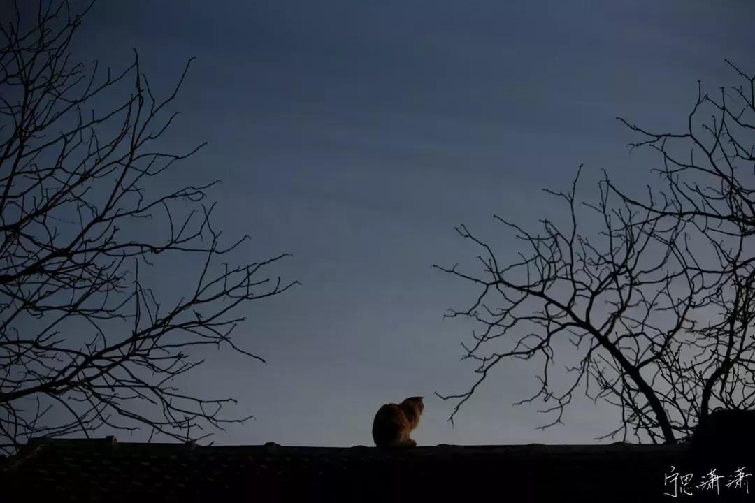 怎样拍摄曝光准确的照片,如何拍出曝光准确的视频