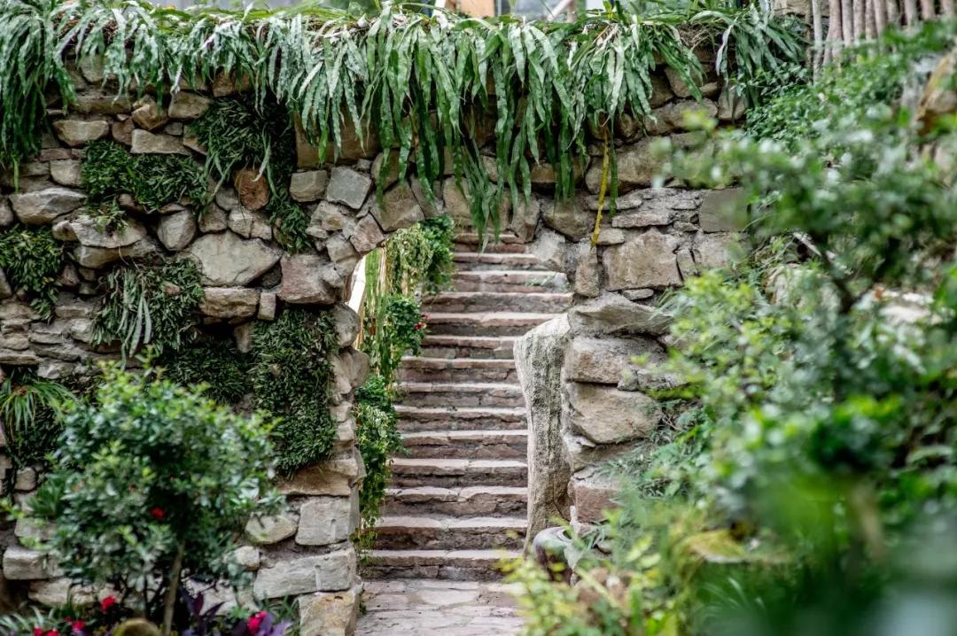 成都最美10家民宿,何必去外地旅游