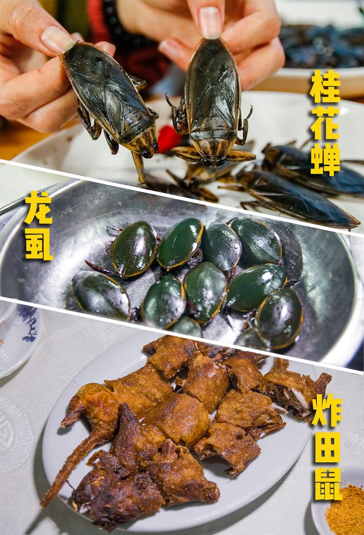 番禺最LOW餐厅清单②|钟村篇