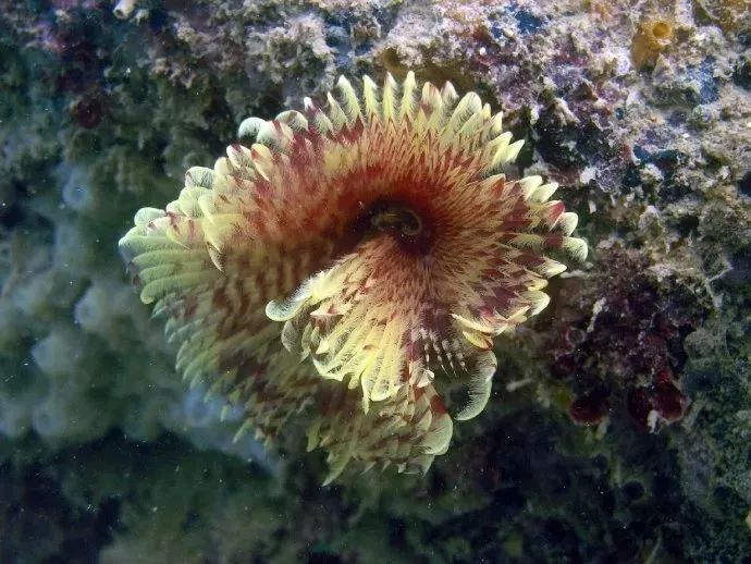 距海南20km有片处女地，比台湾风情比三亚便宜，路过都错过了