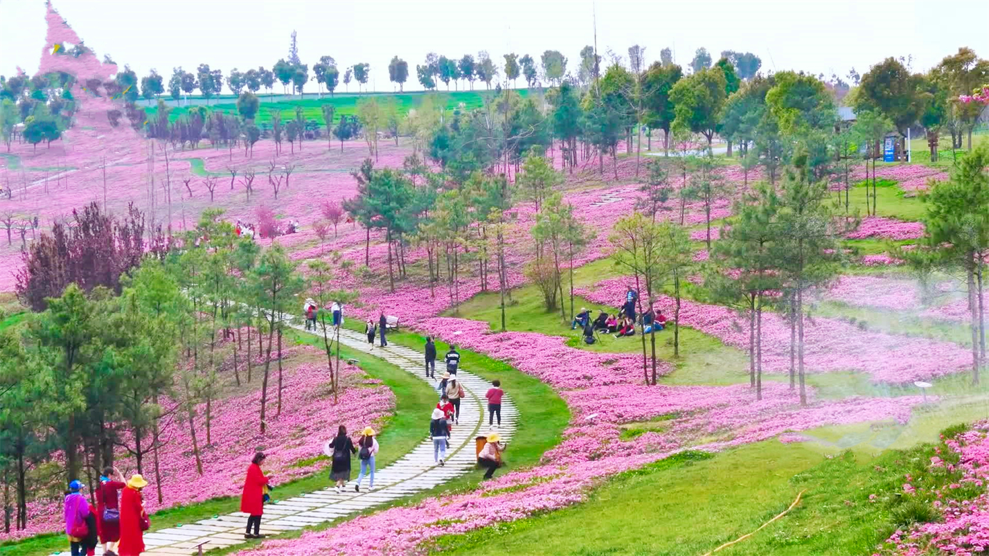 琴瑟在御岁月静好,琴瑟在御岁月静好的配图