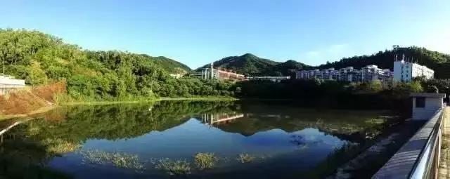 深圳高级中学好还是红岭中学好,深圳红岭最好的中学