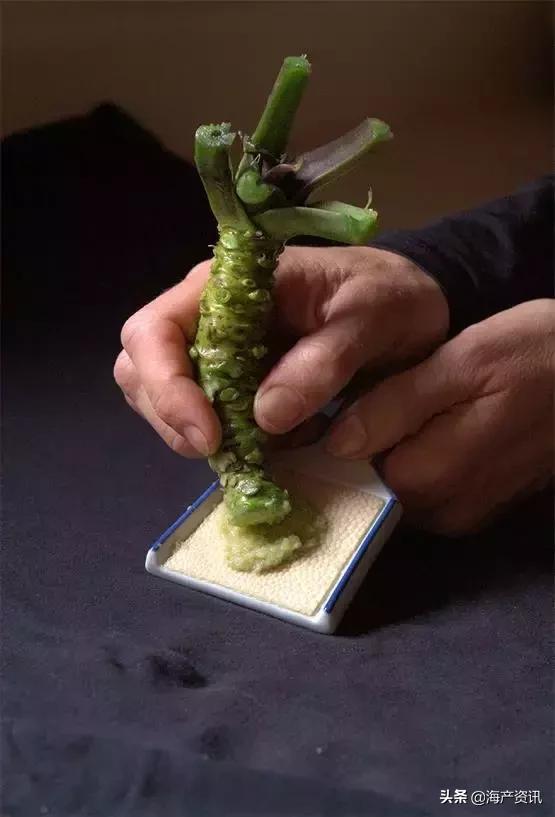 寿司用芥末好吃还是刺身用的芥末,三文鱼刺身除了芥末还有什么