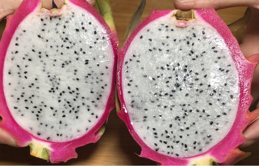 怎么选火龙果甜不甜,火龙果怎么选才甜