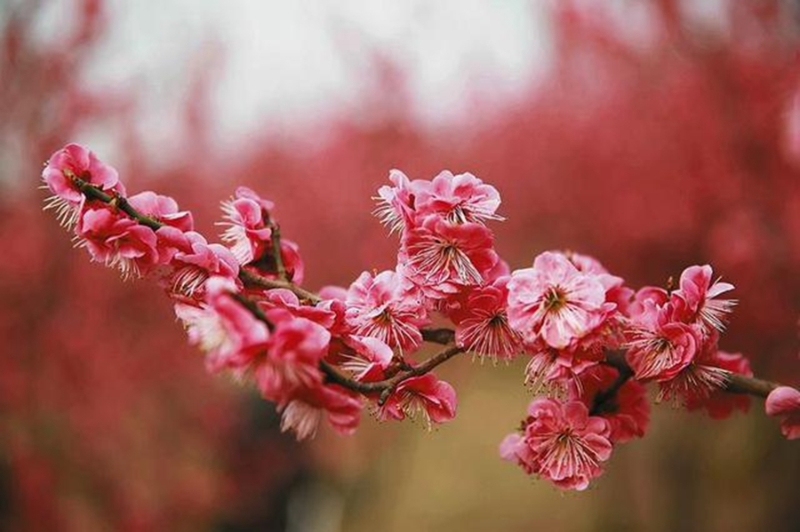 3月20日 新闻中的渭南事（组图）