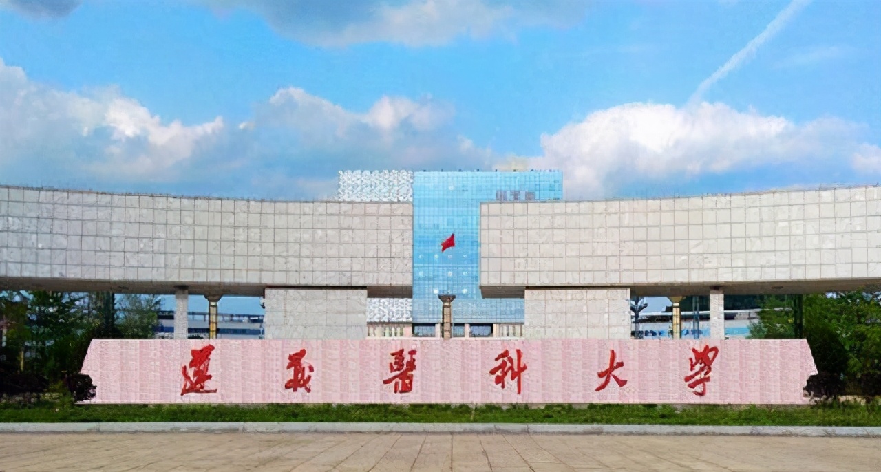 贵州最好的三所大专院校,医学大专院校在贵州录取分数线