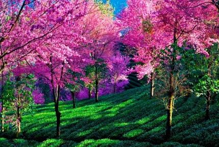 昆明适合拍照的景点有哪些,昆明大理周边旅游景点排名榜前十