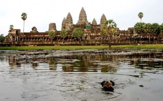 旅行100个冷知识,旅行冷知识500例