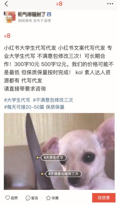 小红书代写背后：500字文章卖12元，千元买热搜前六