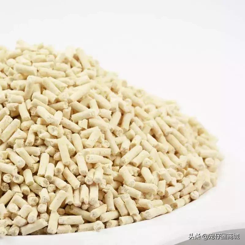 宠物粪便属于什么垃圾,垃圾分类猫砂粪便怎么归类