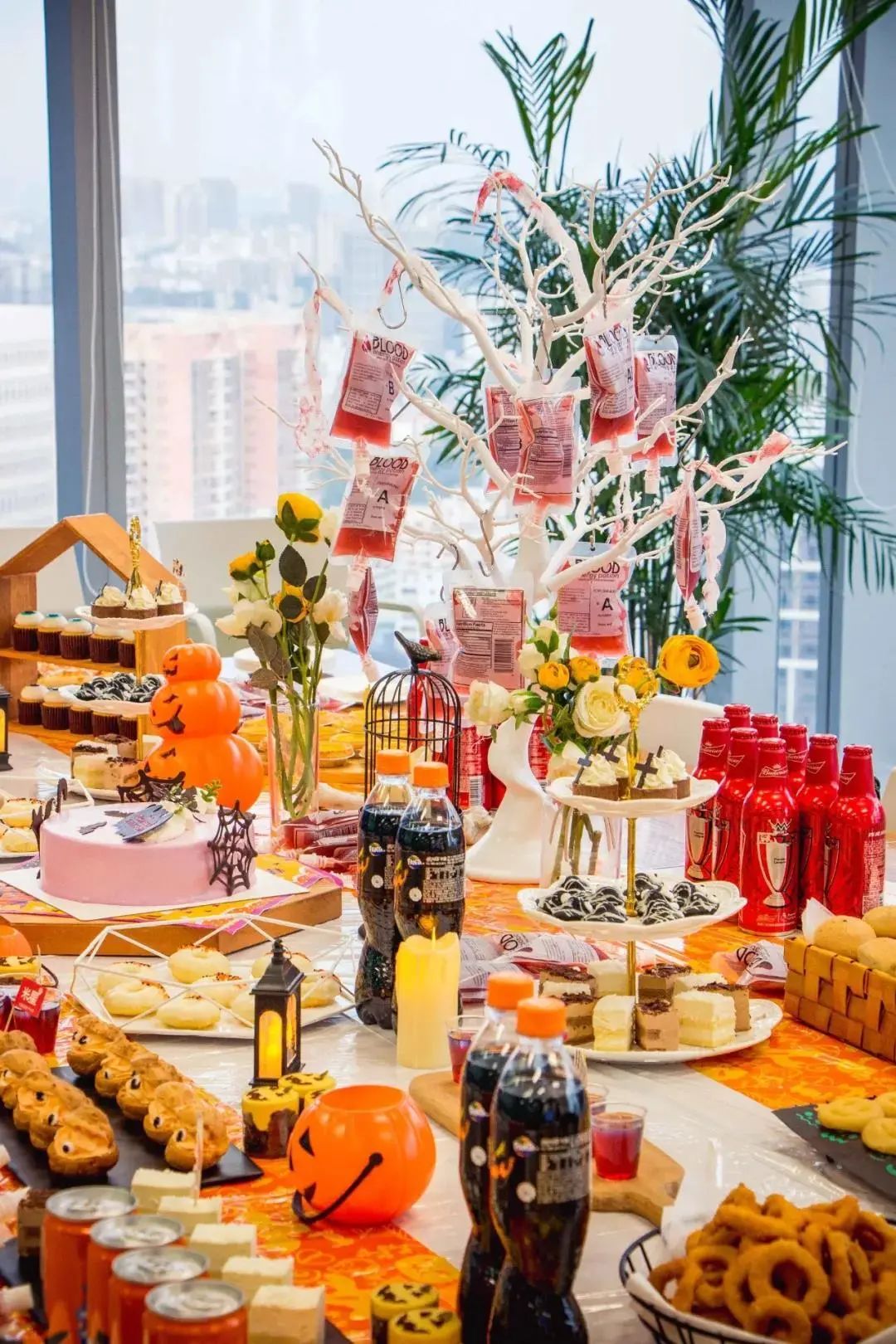 100个创意生日会,幼儿园动物主题生日会方案创意