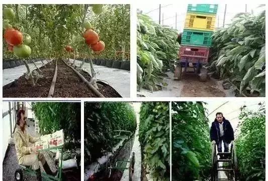 物联网水肥一体化以色列,菜吧家庭农场运营