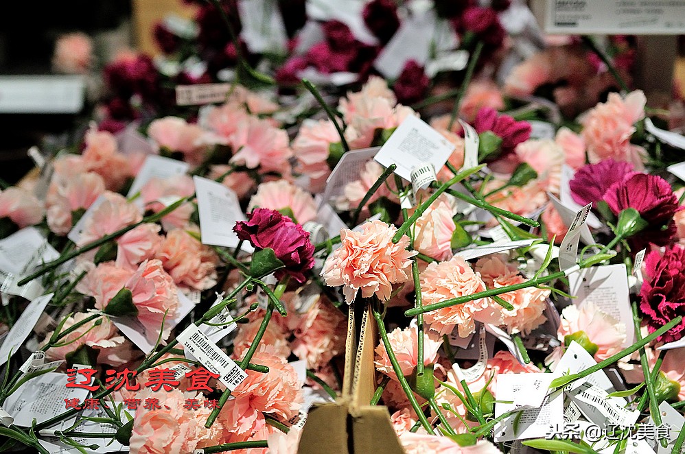 新年逛沈阳,新年厨房焕新计划