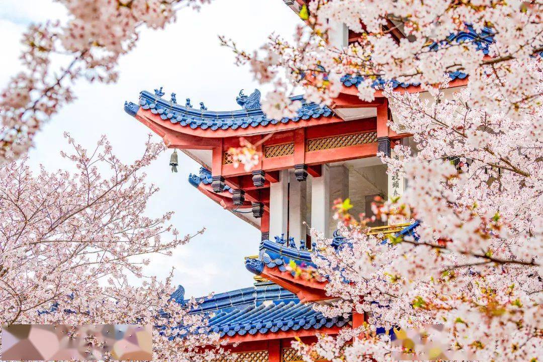 江苏省南京市排名前十的美食,江苏美食排行榜前十名有哪些