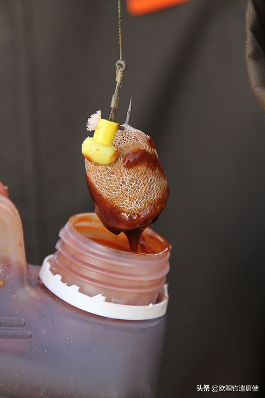 话说欧鲤之钓组篇,话说欧鲤钓