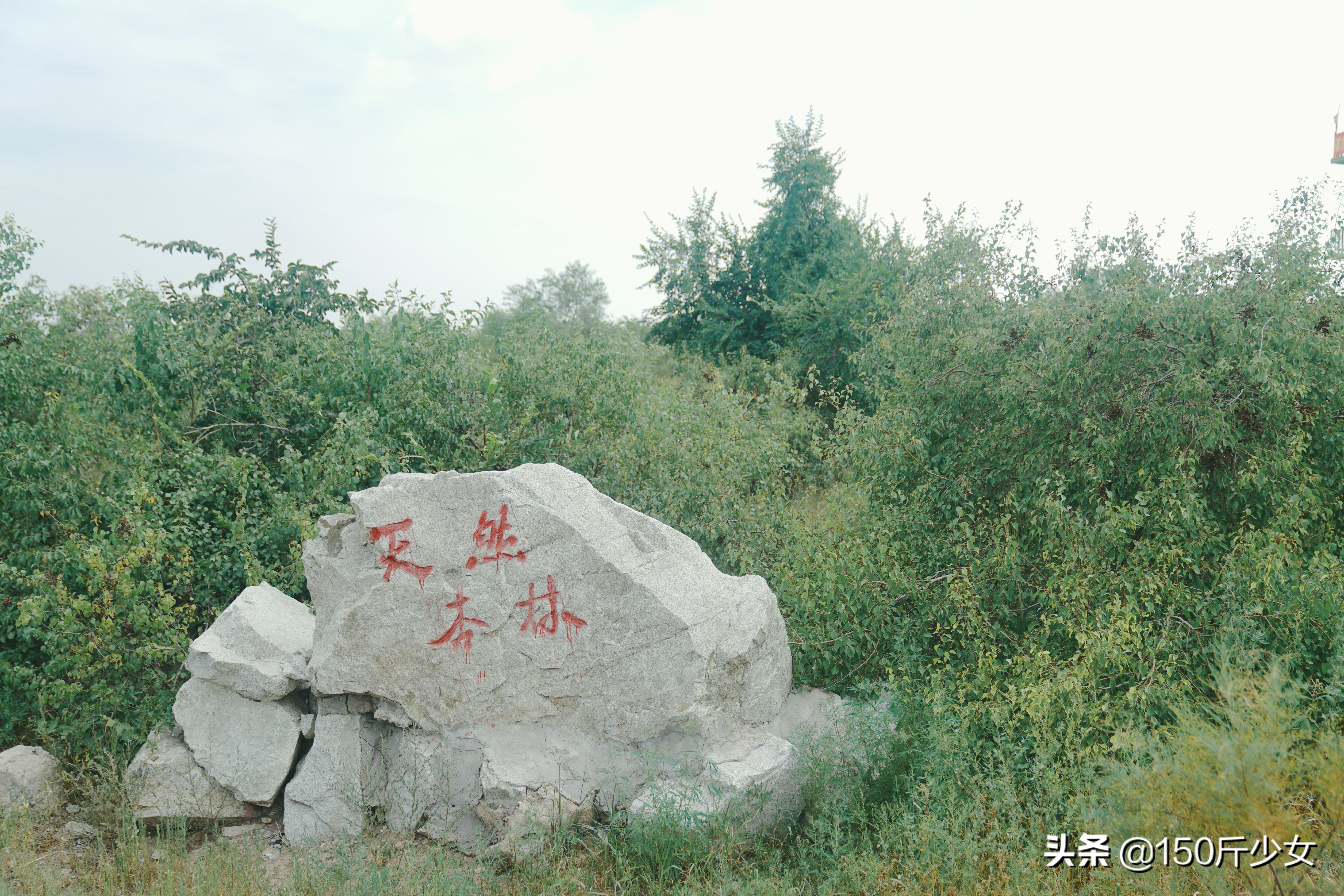 国庆吉林出发2-3天自驾短途旅游,吉林5天4晚自由行