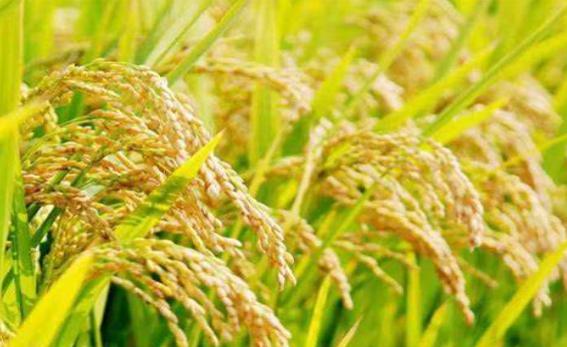 晚上游四方,游四方下联