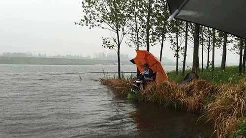 野钓急流水最佳方法,水又特别浑浊鱼又很少怎么才好钓