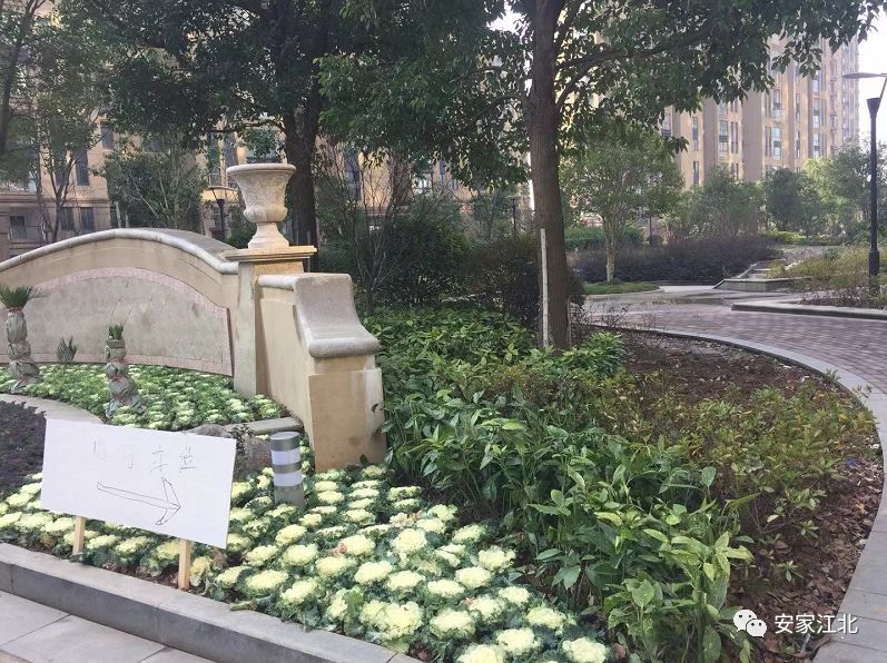 3小时！卖掉7成！江北神秘老盘涨价开盘，不少买房人现场弃号……