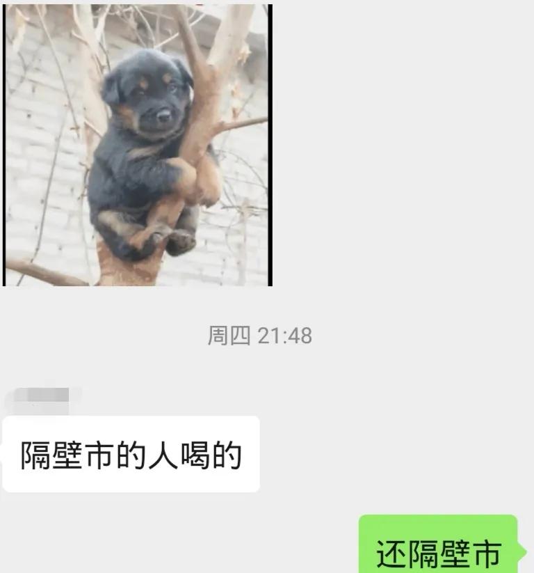 椤惧璁簡寰堝濂惰尪鍙戞湅鍙嬪湀,100鏉ザ鑼剁殑澶栧崠璁㈠崟