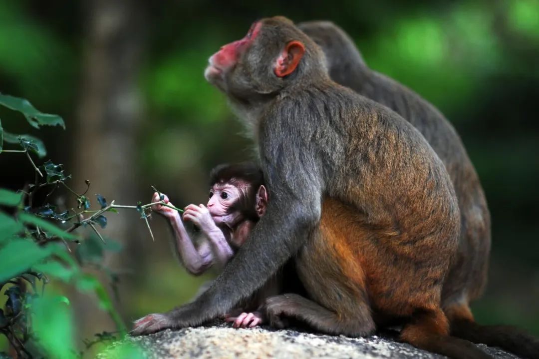 带娃国外海岛旅游推荐,适合带娃休闲度假的国内海岛