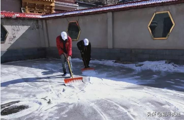 抗击疫情的青年突击队照片,碌曲突击队