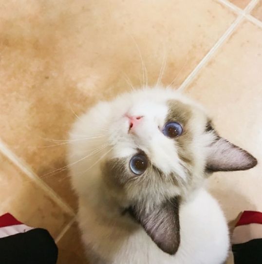 到泰国买护肤品怎么样啊,泰国的化妆品比较便宜吗