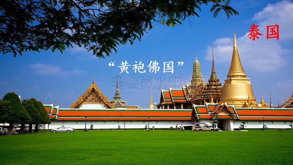 五年级下册与象共舞的作者是谁,与象共舞语文五年级下册老版