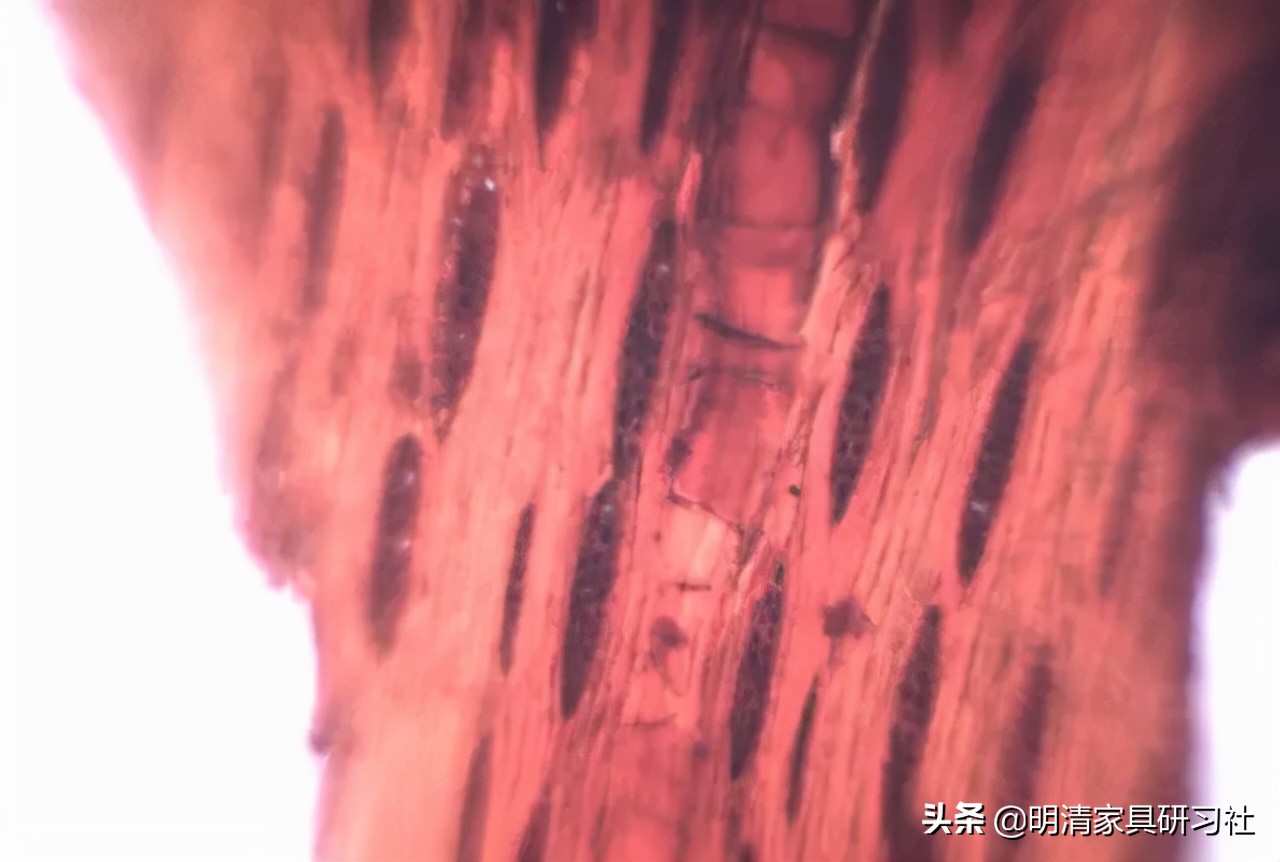 一文读懂沉香,一文读懂瓷器