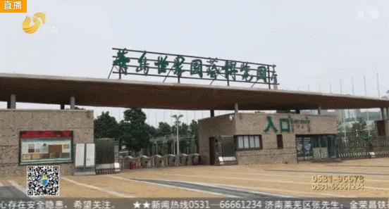 山东问政世博园问题,青岛世博园最失败投资