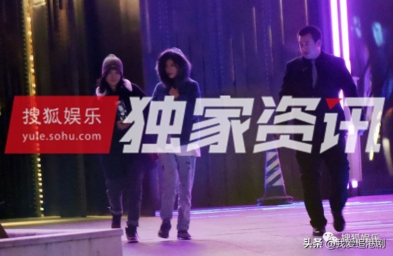 赵薇向男友人索吻,赵薇遭猴子索吻