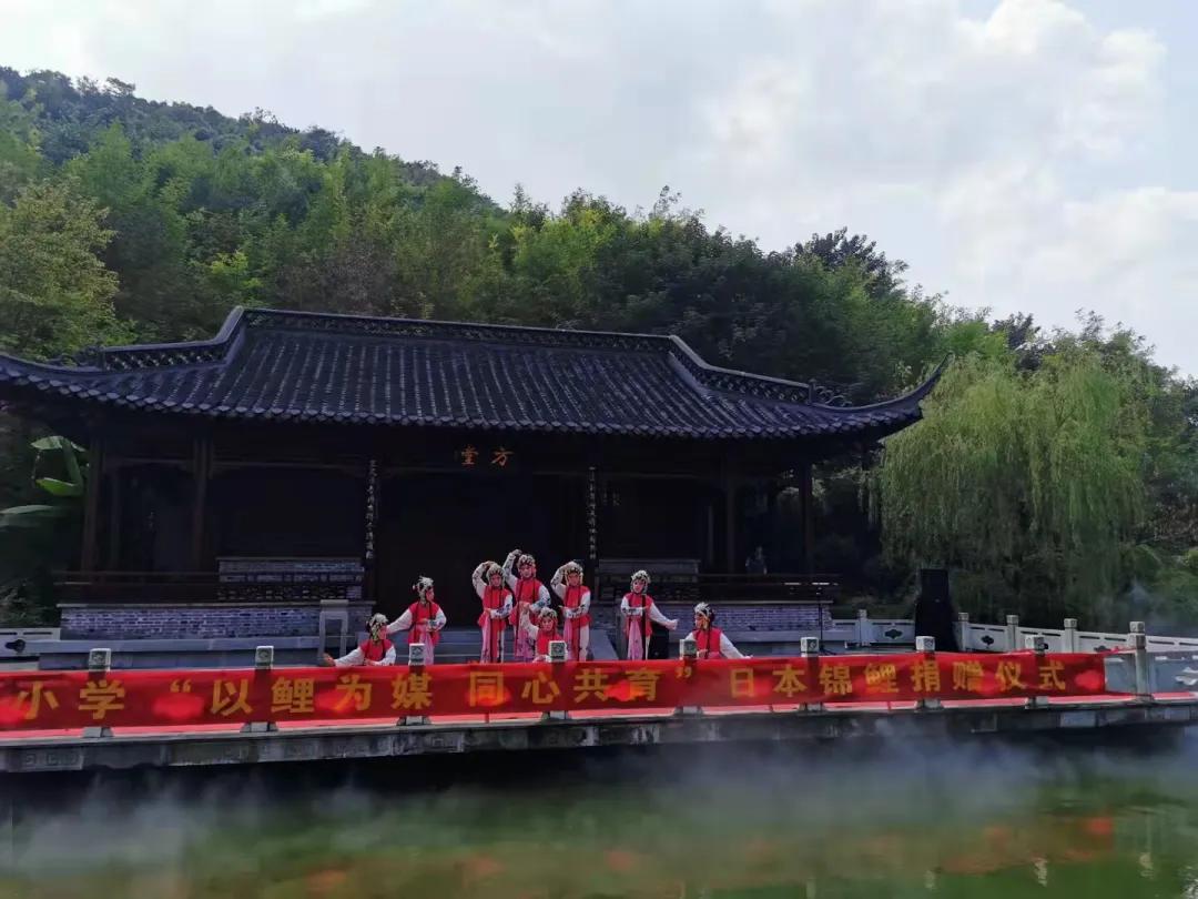 南京市金陵小学南京排名,南京市金陵小学2017