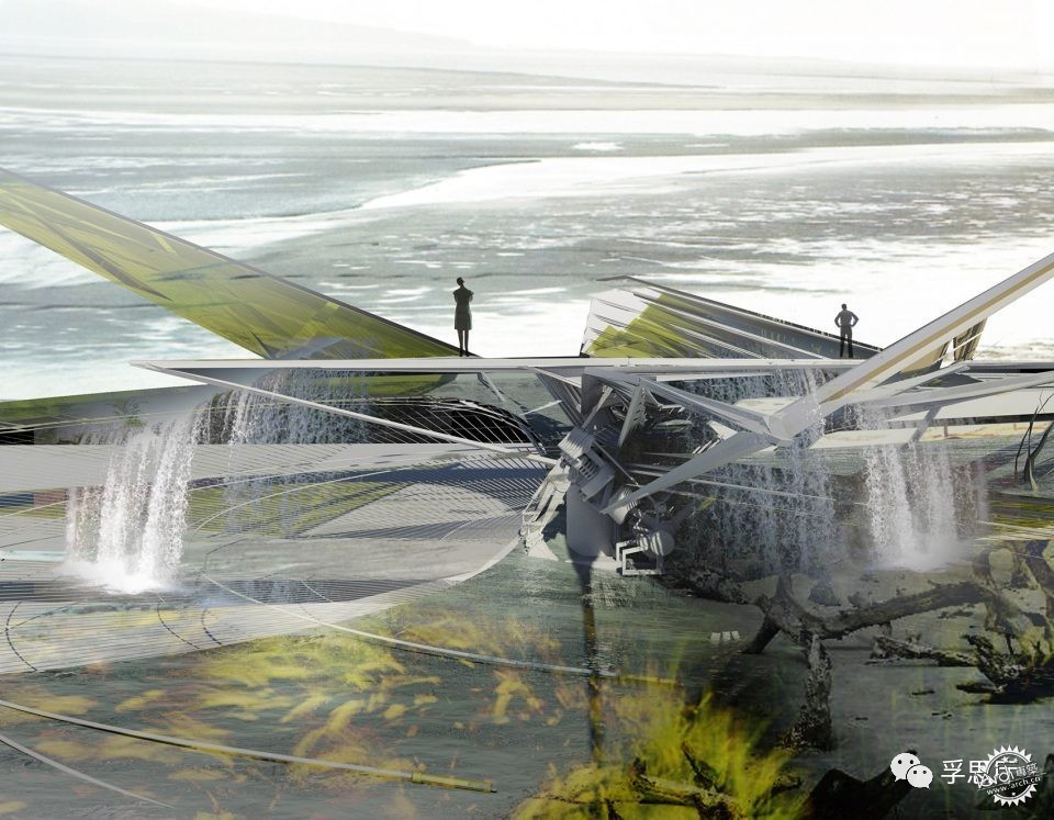 飓风住宅，美国路易斯安那/MargotKrasojevićArchitects