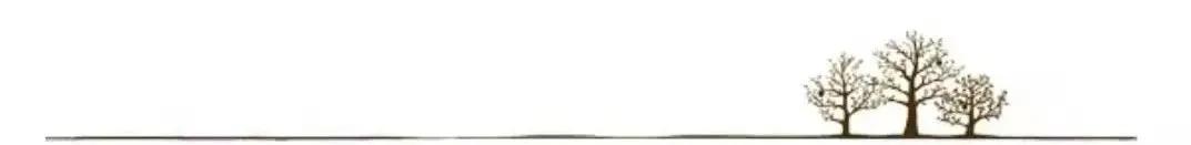 洗衣服能留香的洗衣皂,洗衣服的棉油皂怎么做