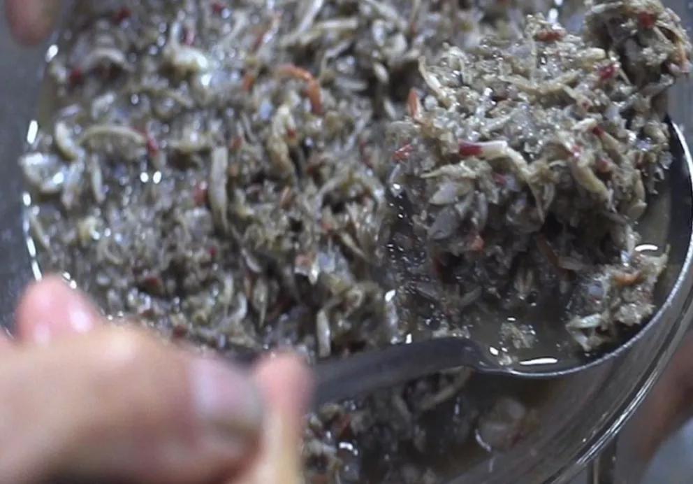 世界臭的美食有哪些,世界最臭食物排行指数