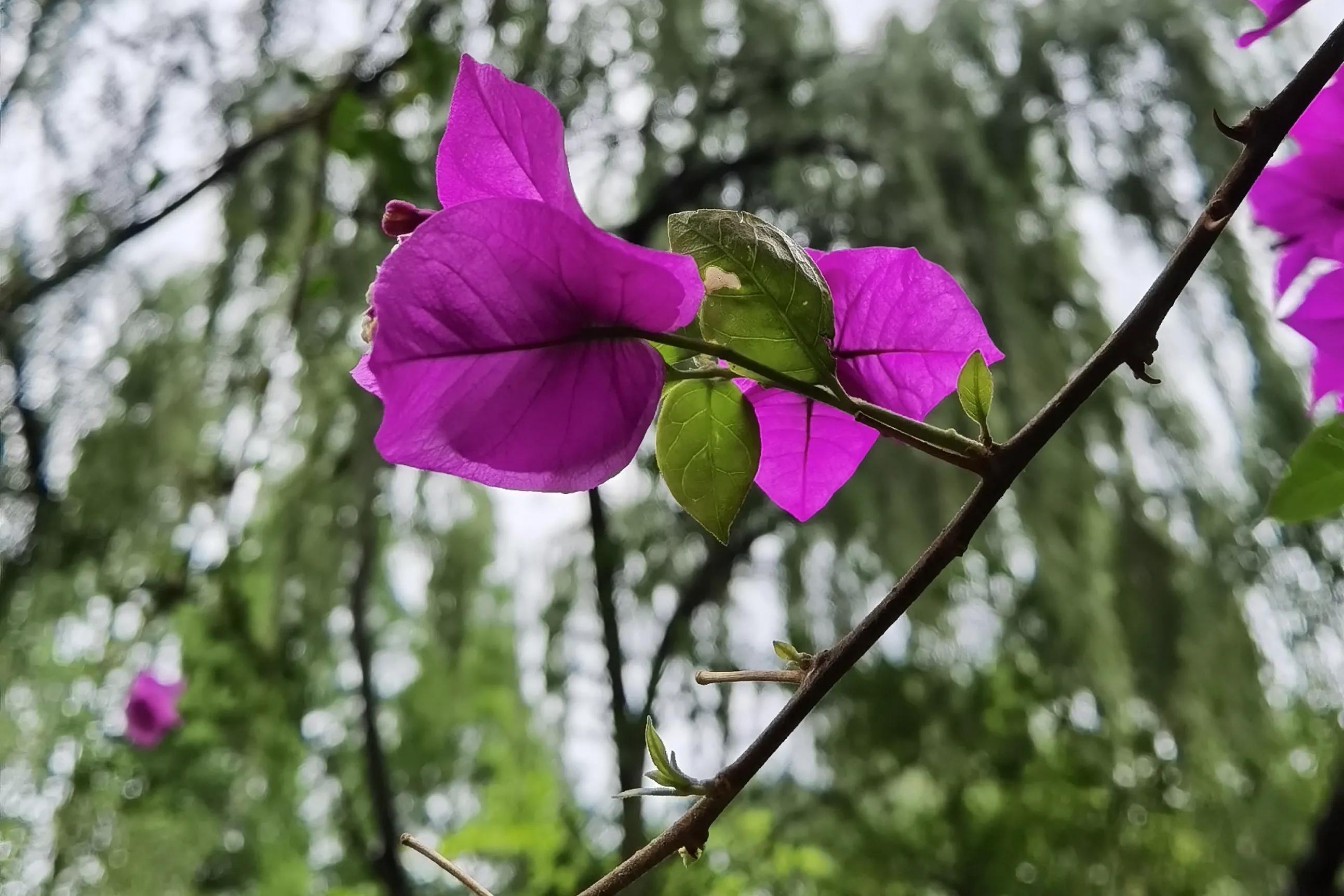 找不到梦想的方向,找不到自己的梦想该怎么办