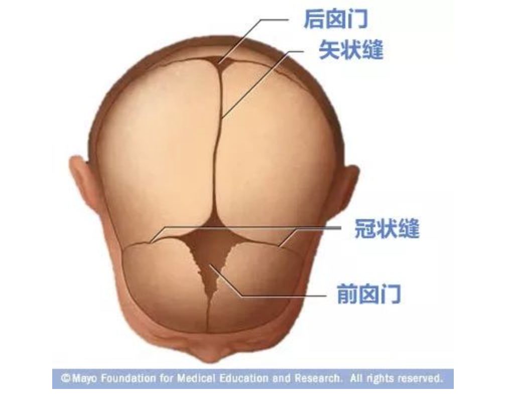 宝宝囟门是软的但是不跳正常吗,宝宝囟门硬硬的顶在枕头上有事吗