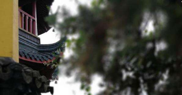 这些方丈和大夫们，您知道自己大门上的对联挂反了吗？