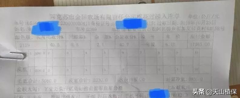 11月25日新疆籽棉收购价格,籽棉收购价格继续回落