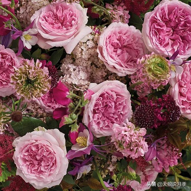 520你最想收到什么玫瑰,520这样的玫瑰你们喜欢吗