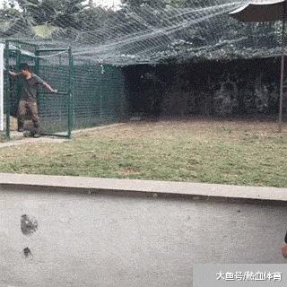 把车标全部抠掉违法吗,把车标抠下来清灰