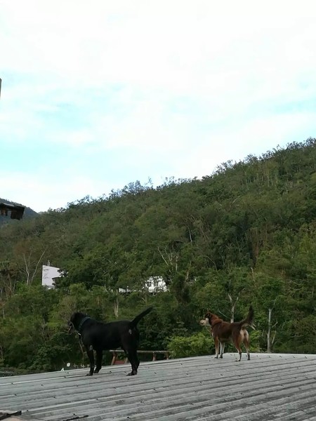 知本温泉在哪里,台湾知本温泉