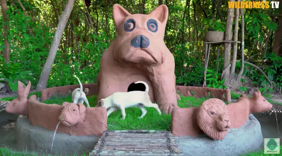 花三年建宠物乐园,花20万给狗打造乐园